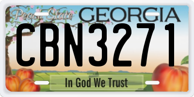 GA license plate CBN3271