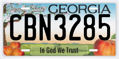 GA license plate CBN3285