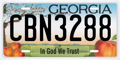 GA license plate CBN3288
