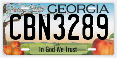 GA license plate CBN3289