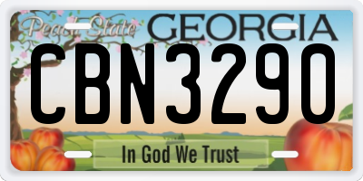 GA license plate CBN3290