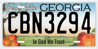 GA license plate CBN3294