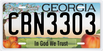 GA license plate CBN3303