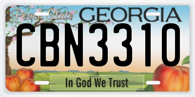 GA license plate CBN3310