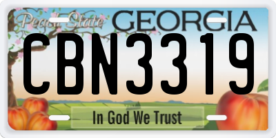 GA license plate CBN3319