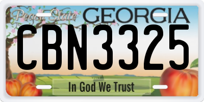 GA license plate CBN3325