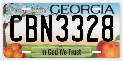 GA license plate CBN3328