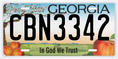 GA license plate CBN3342