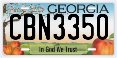 GA license plate CBN3350