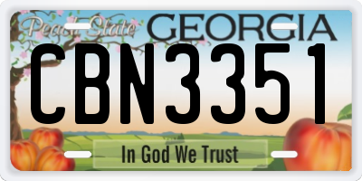 GA license plate CBN3351