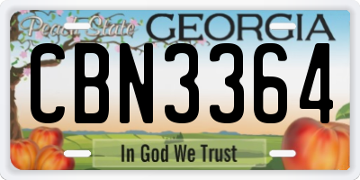 GA license plate CBN3364