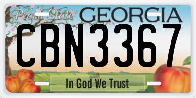 GA license plate CBN3367