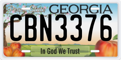 GA license plate CBN3376