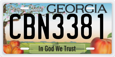 GA license plate CBN3381
