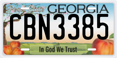 GA license plate CBN3385