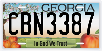 GA license plate CBN3387