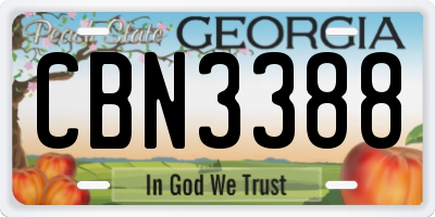 GA license plate CBN3388
