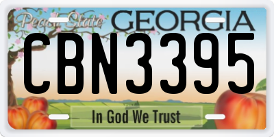 GA license plate CBN3395