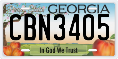 GA license plate CBN3405