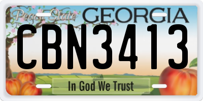GA license plate CBN3413