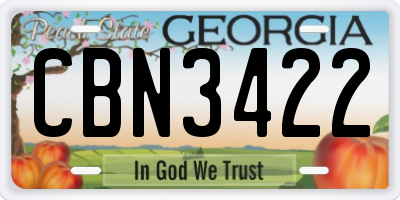 GA license plate CBN3422