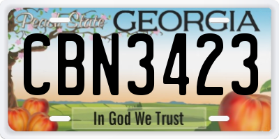 GA license plate CBN3423