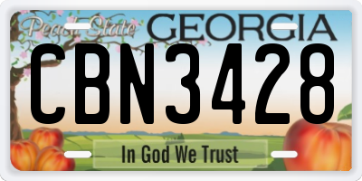 GA license plate CBN3428