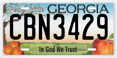 GA license plate CBN3429