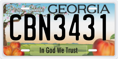 GA license plate CBN3431