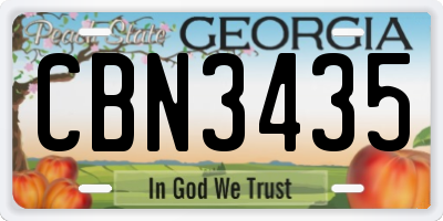 GA license plate CBN3435