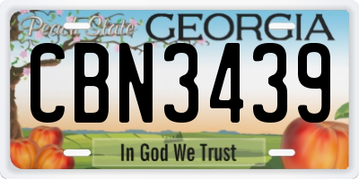 GA license plate CBN3439