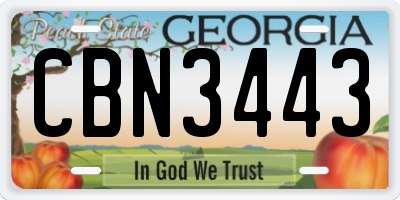 GA license plate CBN3443