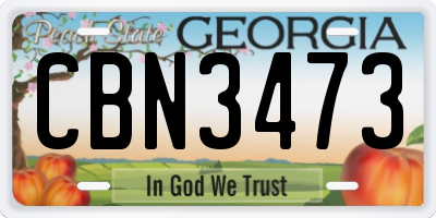 GA license plate CBN3473