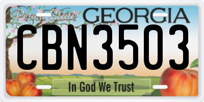 GA license plate CBN3503