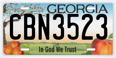 GA license plate CBN3523