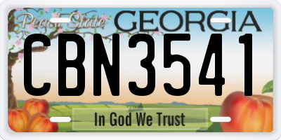 GA license plate CBN3541