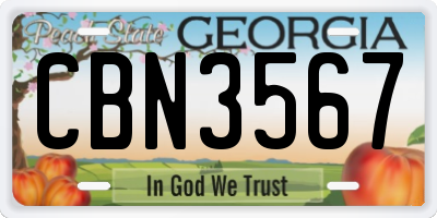 GA license plate CBN3567