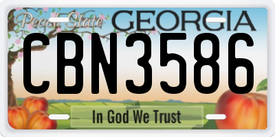 GA license plate CBN3586