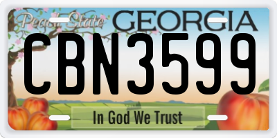 GA license plate CBN3599
