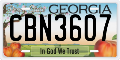 GA license plate CBN3607