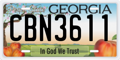 GA license plate CBN3611