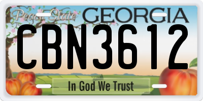GA license plate CBN3612