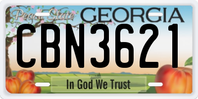 GA license plate CBN3621