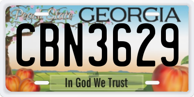 GA license plate CBN3629