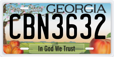 GA license plate CBN3632