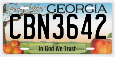 GA license plate CBN3642