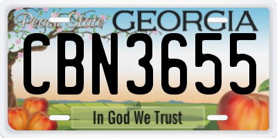 GA license plate CBN3655