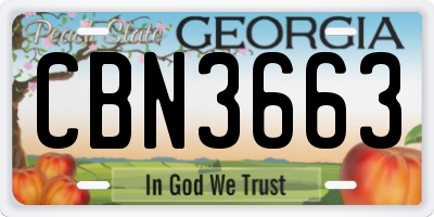 GA license plate CBN3663