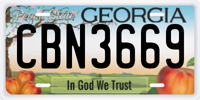 GA license plate CBN3669