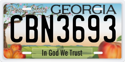 GA license plate CBN3693